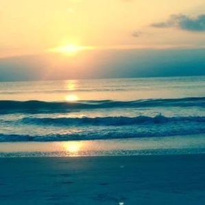 Meet your Posher, Eva